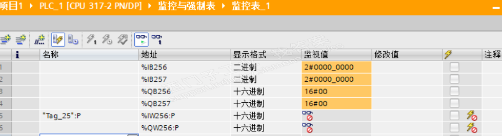 为什么博途监控表里面可以监控IO位变量、字节变量、但是不能监控字变量？